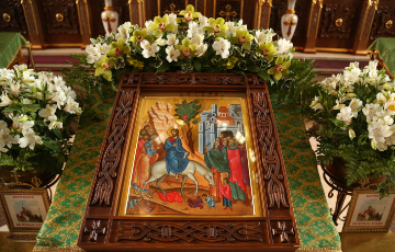 Царство Небесного Царя. Проповедь на праздник Входа Господня в Иерусалим