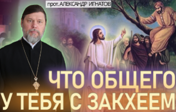 Что общего у тебя с Закхеем