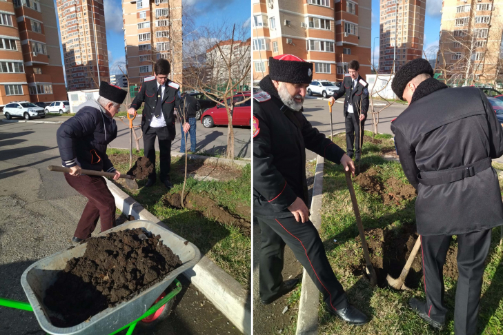Посадка саженцев1.jpg