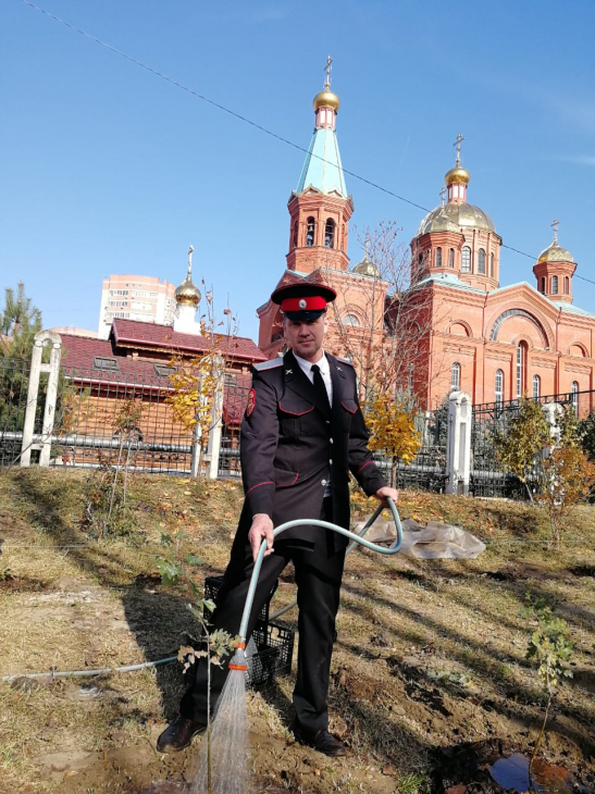Казаки высаживают дубы фото 1