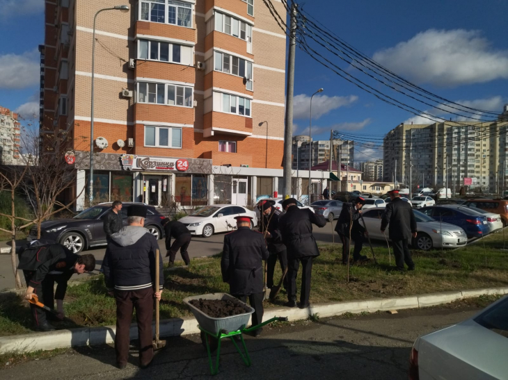 Посадка саженцев0.jpeg