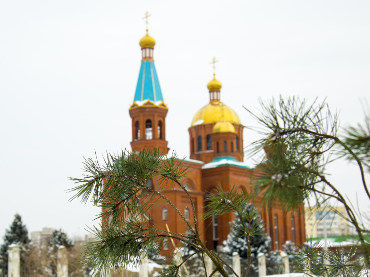 Храм Рождества фото 28