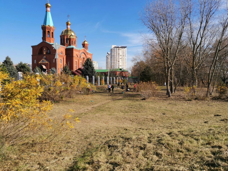 Казаки высаживают дубы фото 2